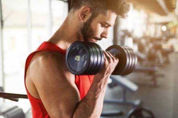 Conseils de musculation